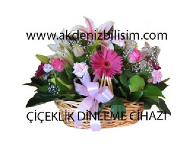 Çiçeklik Dinleme Cihazı