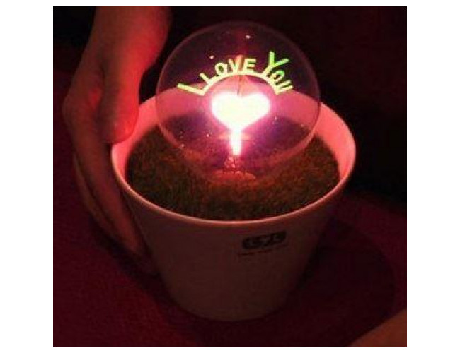 Saksı Ampül I Love You