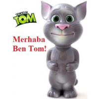 Talking Cat Tom Konuşan Kedi